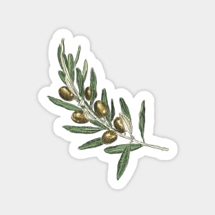 Olive branch Sticker